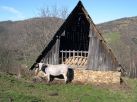 Rencontre sur le sentier qui mène au plateau