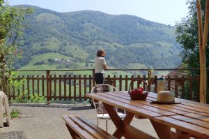 View from the terrace of the cottage "Miquelet"
